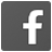 facebook auth login icon